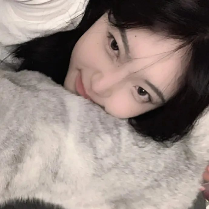 猎鹰的兄弟